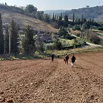 Casa Lavanda * Gabbro