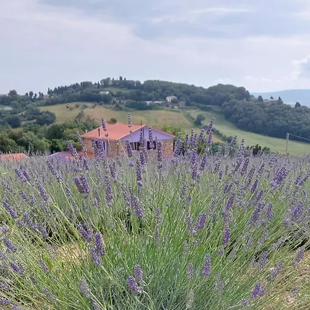 بيت للعطل Casa Lavanda