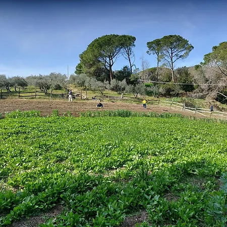 Nyaraló Casa Lavanda Gabbro
